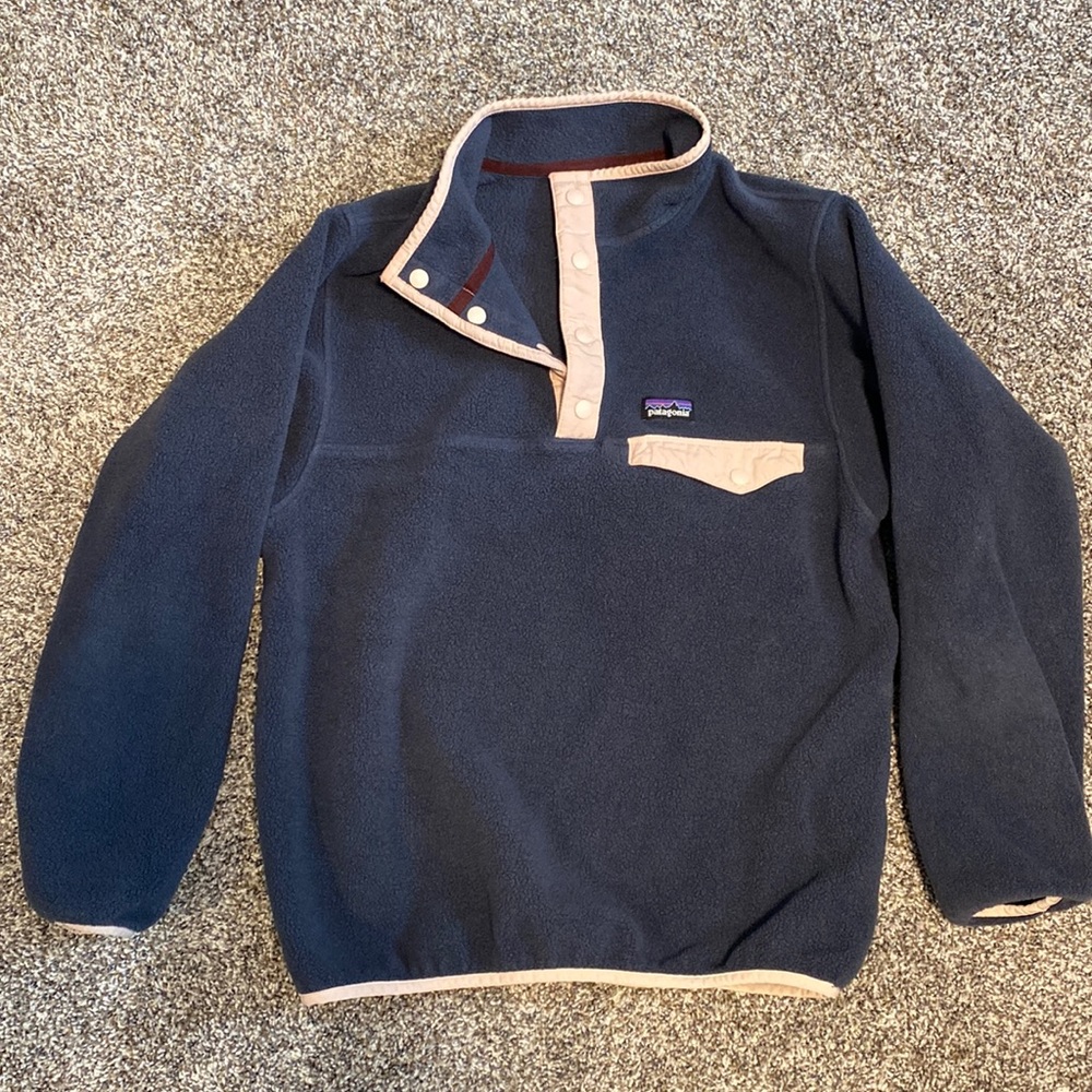Patagonia Synchilla Fleece